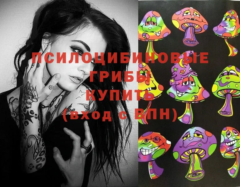 Галлюциногенные грибы Magic Shrooms  купить наркотики сайты  Майкоп 